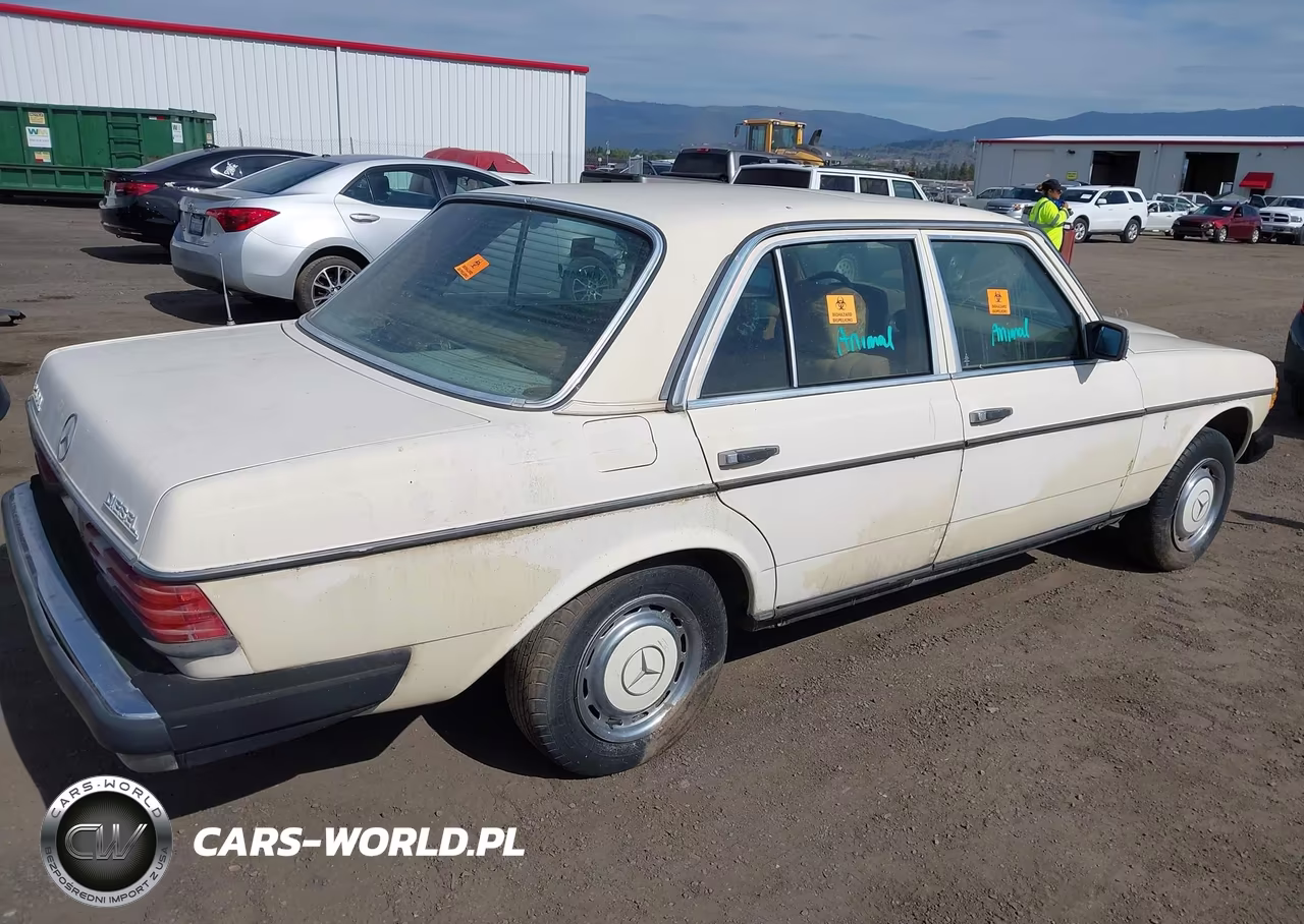 1983 Mercedes-Benz 240 D VIN:WDBAB23A0DB390329 - 4