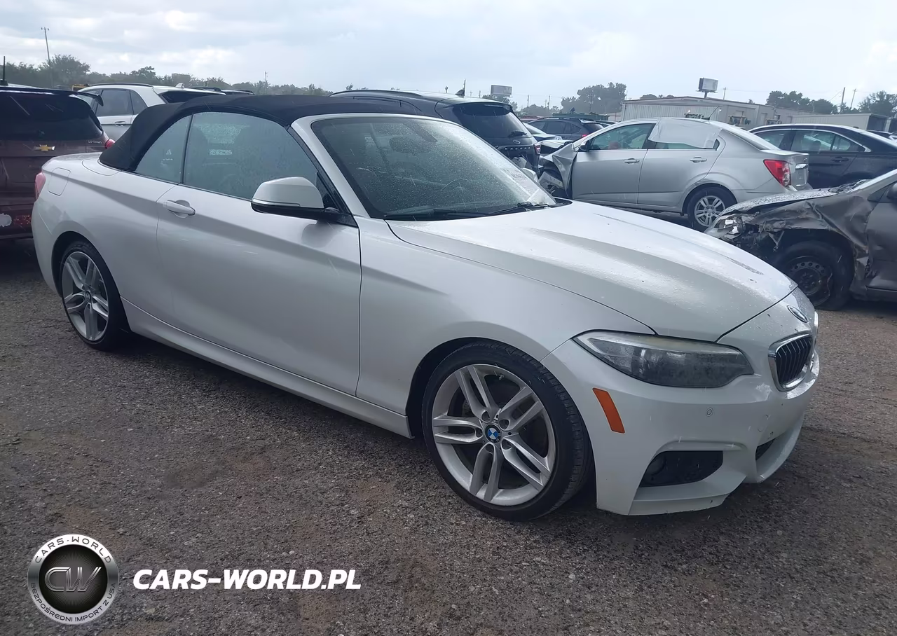 2017 BMW 230I