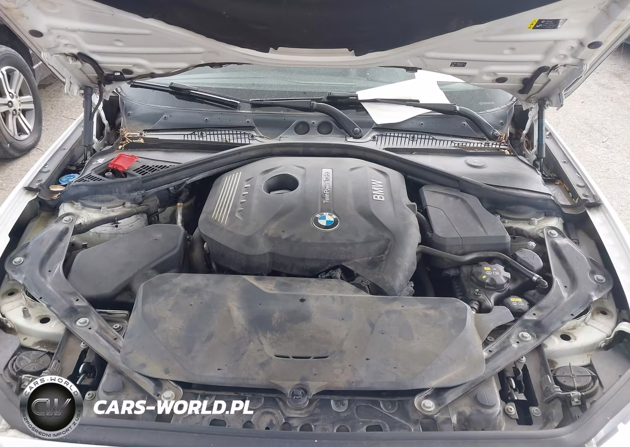 2017 BMW 230I VIN:WBA2K9C34H7A26276 - 10