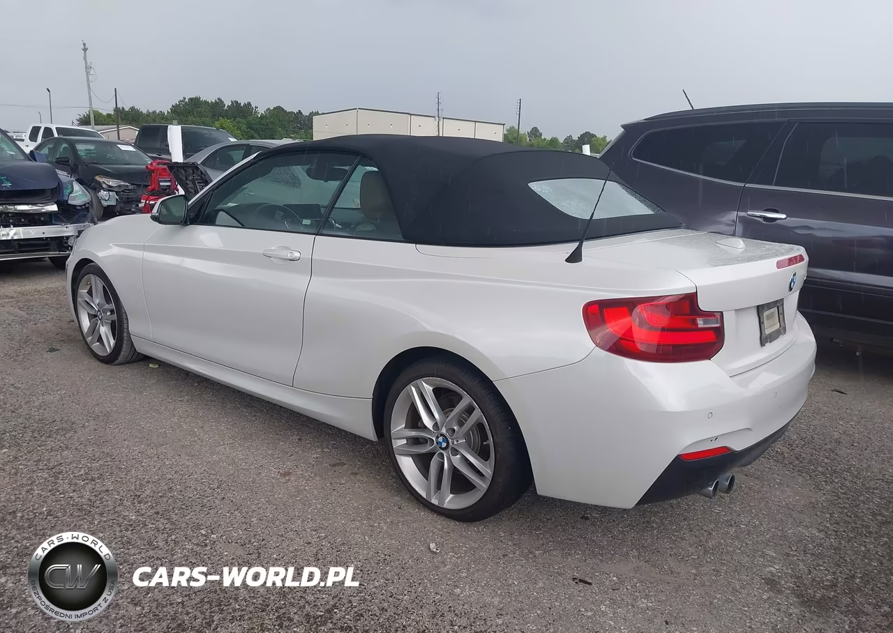 2017 BMW 230I VIN:WBA2K9C34H7A26276 - 3
