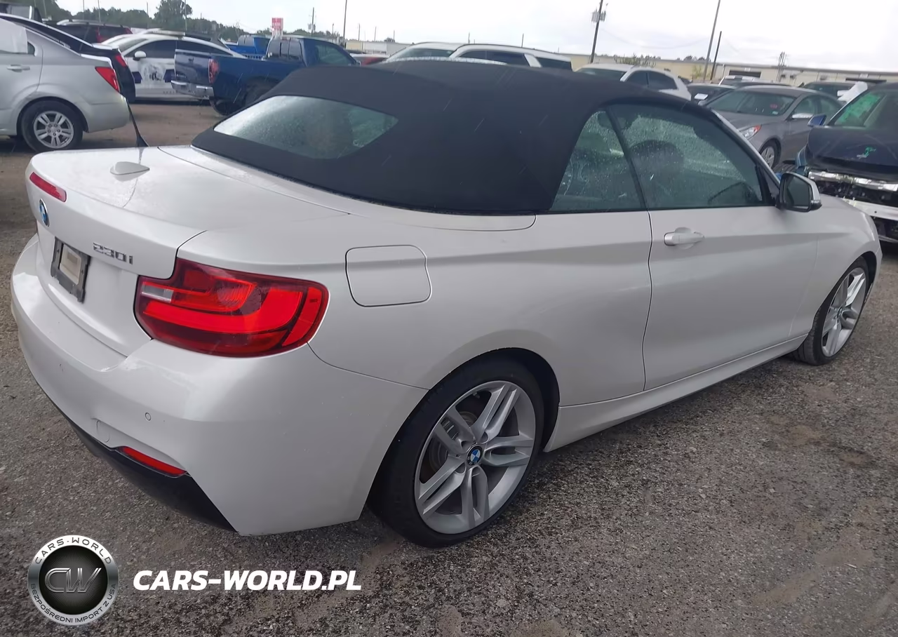 2017 BMW 230I VIN:WBA2K9C34H7A26276 - 4