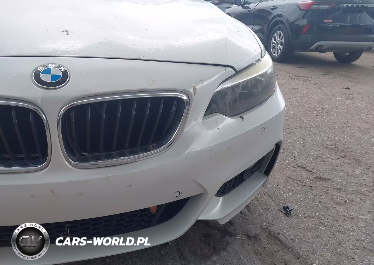 2017 BMW 230I VIN:WBA2K9C34H7A26276 - 6