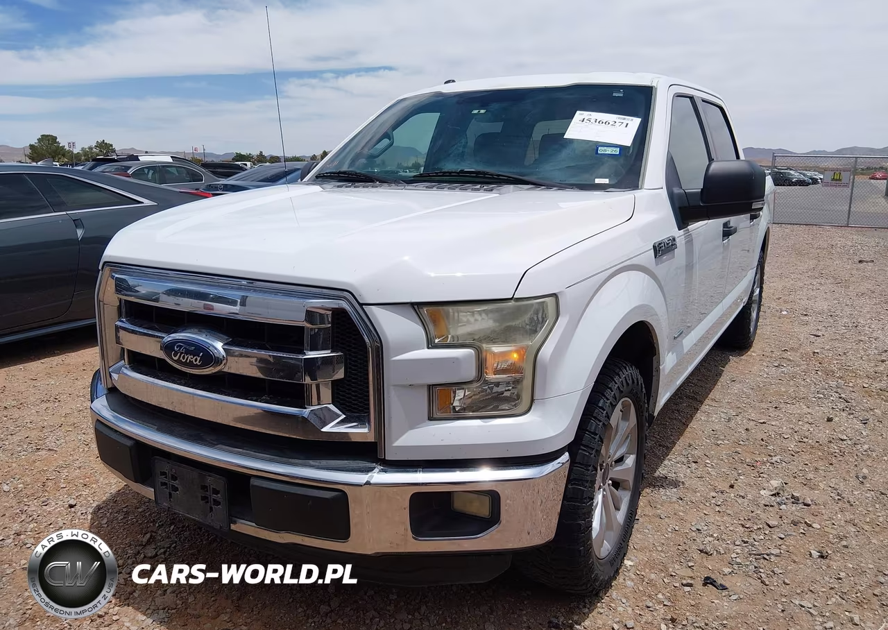 2015 Ford F-150 Xlt VIN:1FTEW1CP1FFA79350 - 12