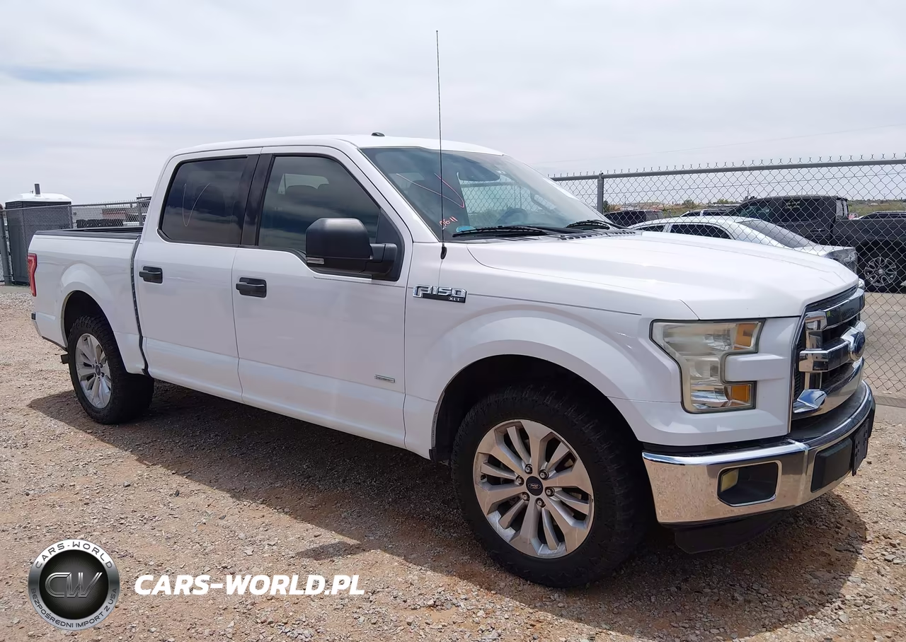 2015 Ford F-150 Xlt VIN:1FTEW1CP1FFA79350 - 13