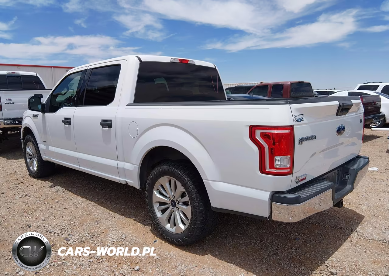 2015 Ford F-150 Xlt VIN:1FTEW1CP1FFA79350 - 14