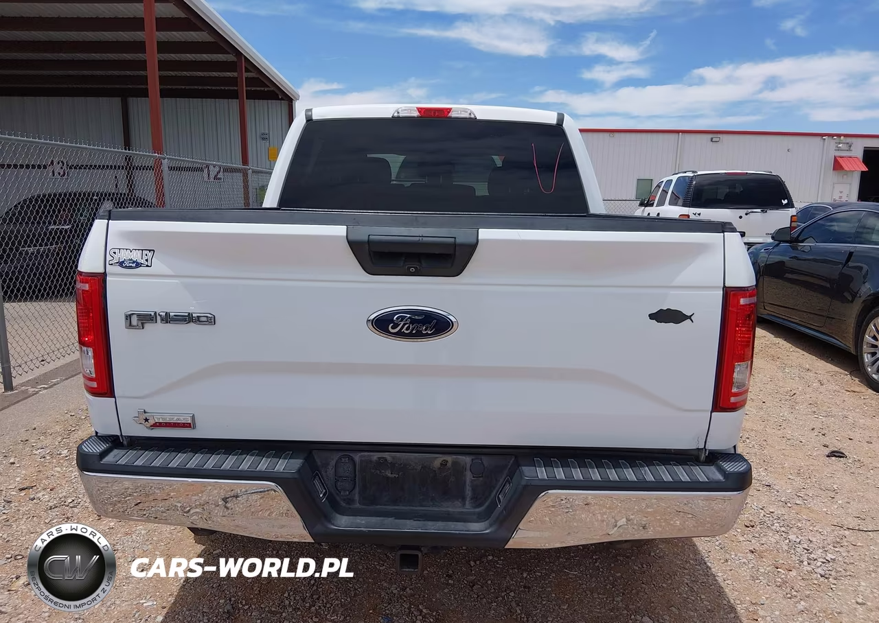 2015 Ford F-150 Xlt VIN:1FTEW1CP1FFA79350 - 16