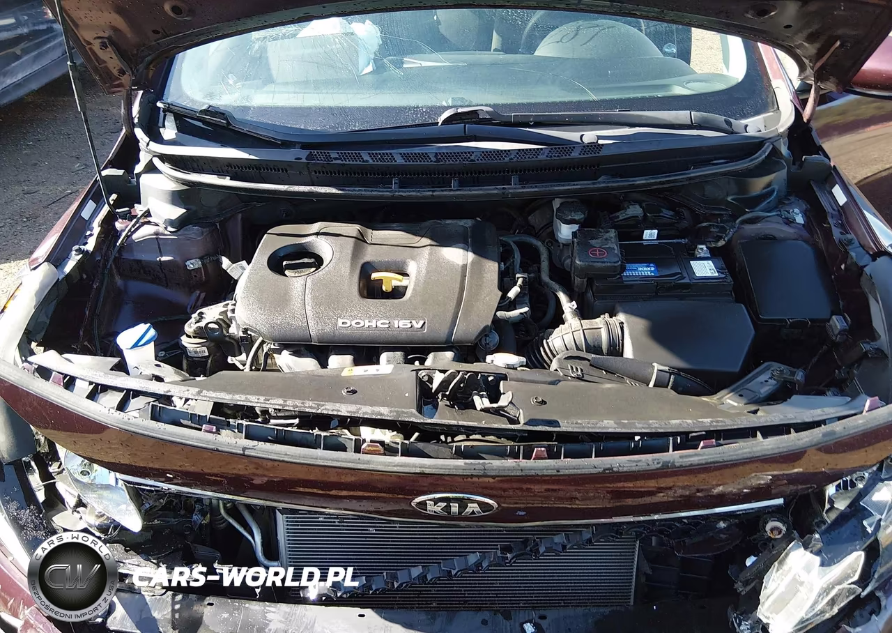 2017 Kia Forte Lx VIN:3KPFK4A78HE108506 - 10