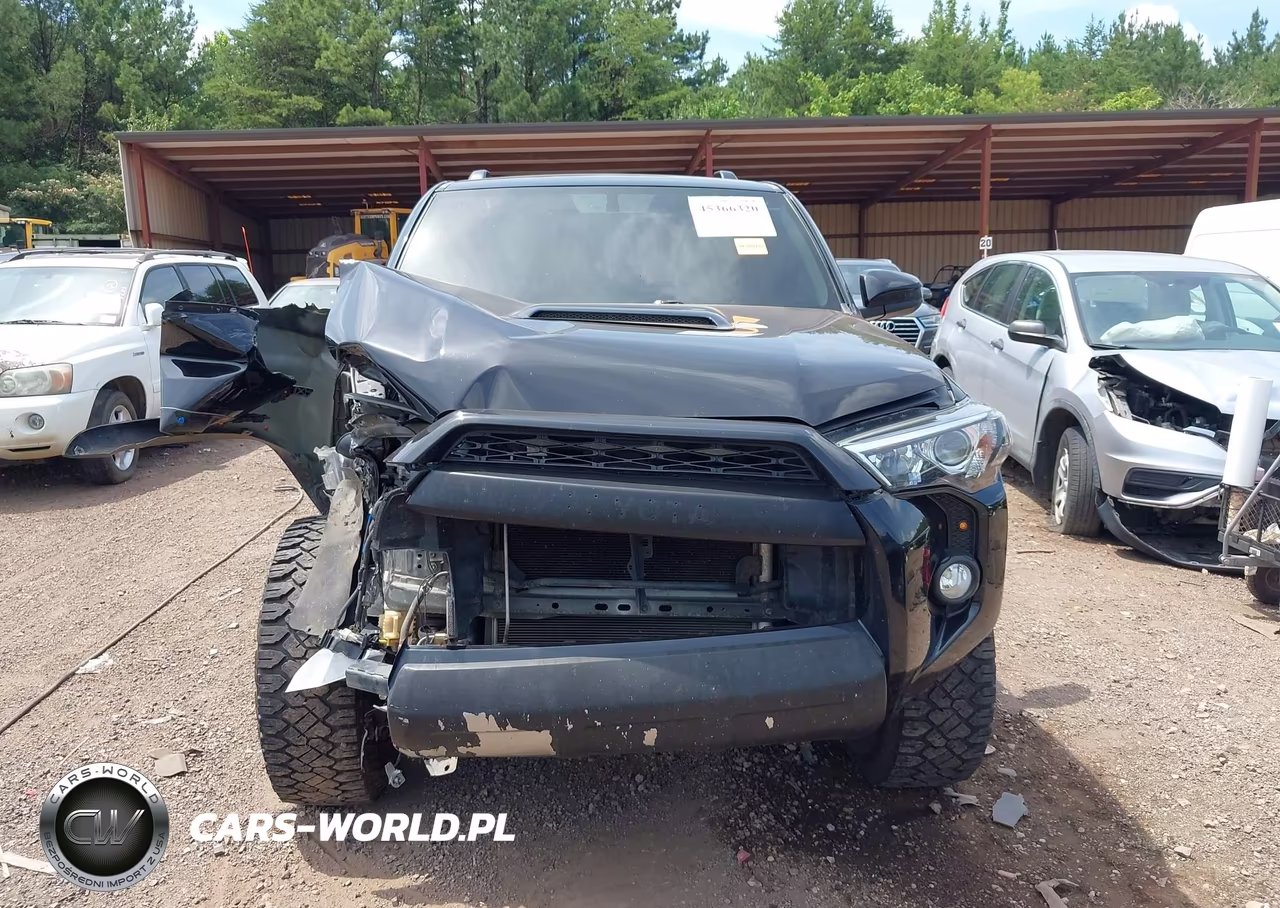 2019 Toyota 4Runner Trd Off Road VIN:JTEBU5JR2K5665166 - 12