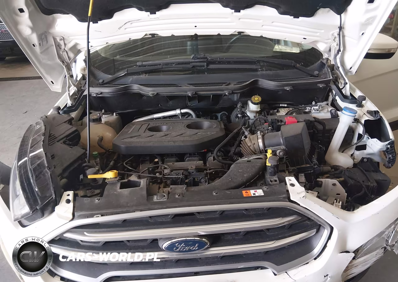 2019 Ford Ecosport Se VIN:MAJ6S3GL0KC268267 - 10