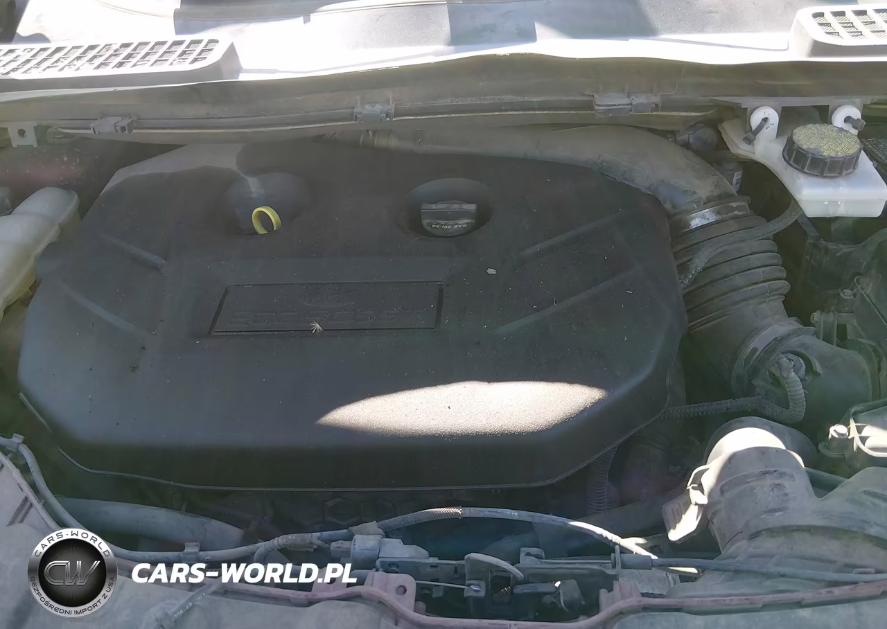 2014 Ford Escape Se VIN:1FMCU0G92EUC74544 - 10
