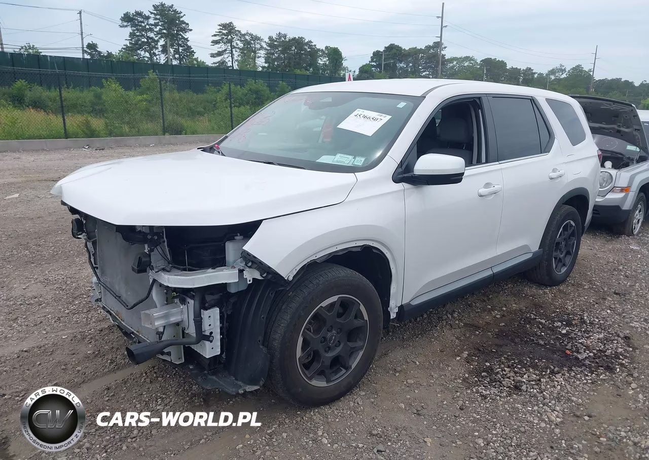 2025 Honda Pilot Ex-L VIN:5FNYG1H40SB070484 - 2
