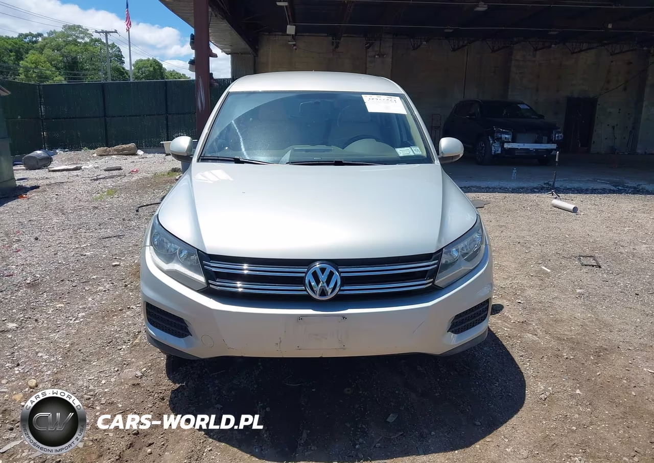 2014 Volkswagen Tiguan Se VIN:WVGAV3AXXEW042386 - 12