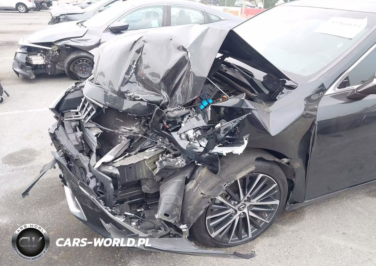 2024 Lexus Es 300H VIN:58ADA1C10RU043112 - 12