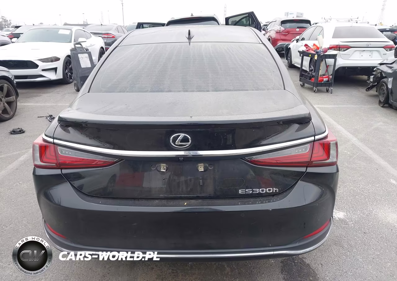 2024 Lexus Es 300H VIN:58ADA1C10RU043112 - 18