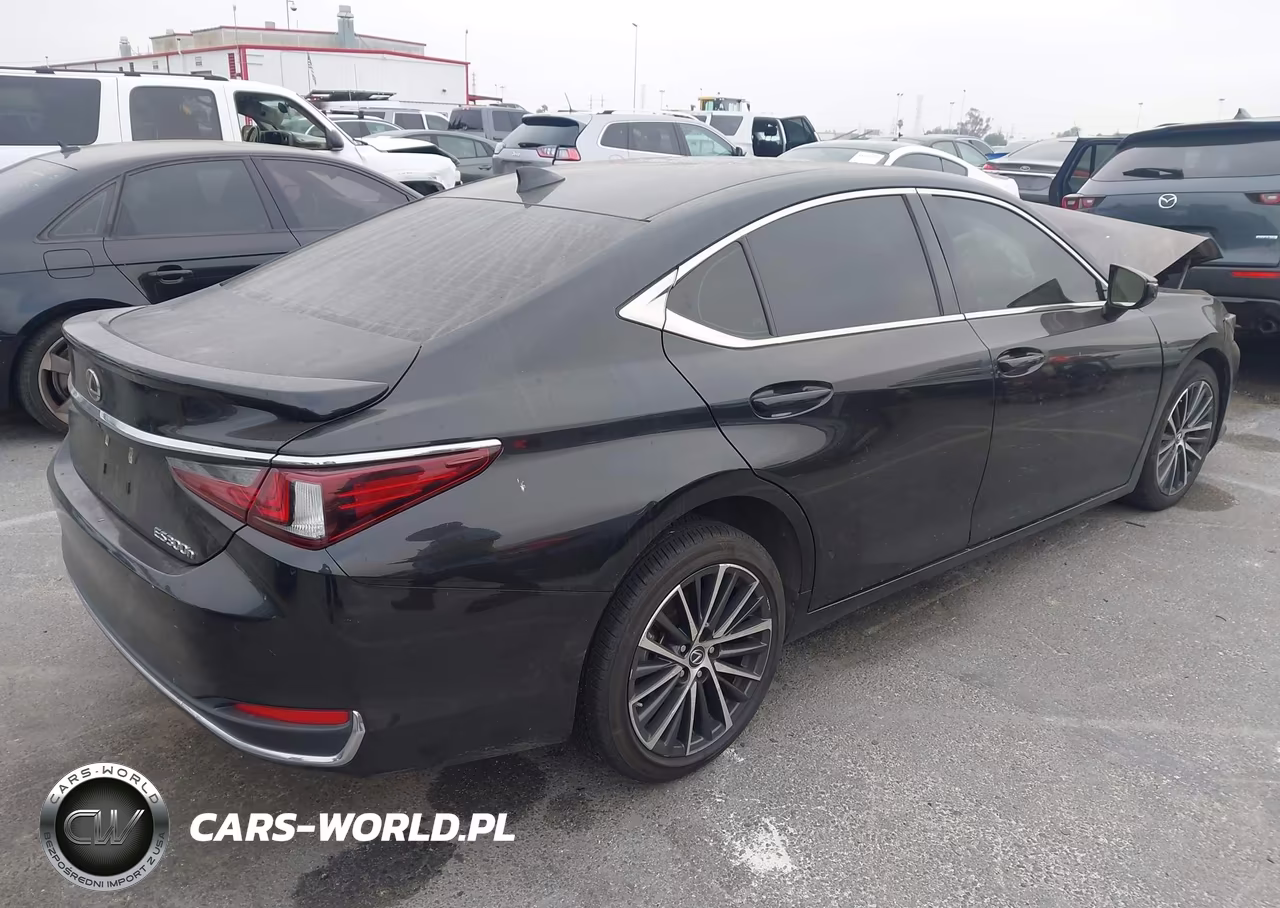 2024 Lexus Es 300H VIN:58ADA1C10RU043112 - 4
