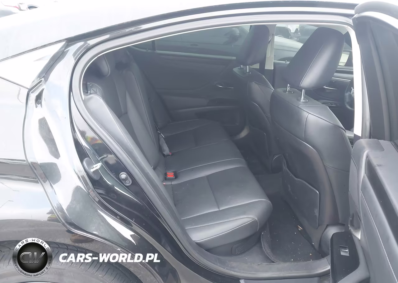2024 Lexus Es 300H VIN:58ADA1C10RU043112 - 8