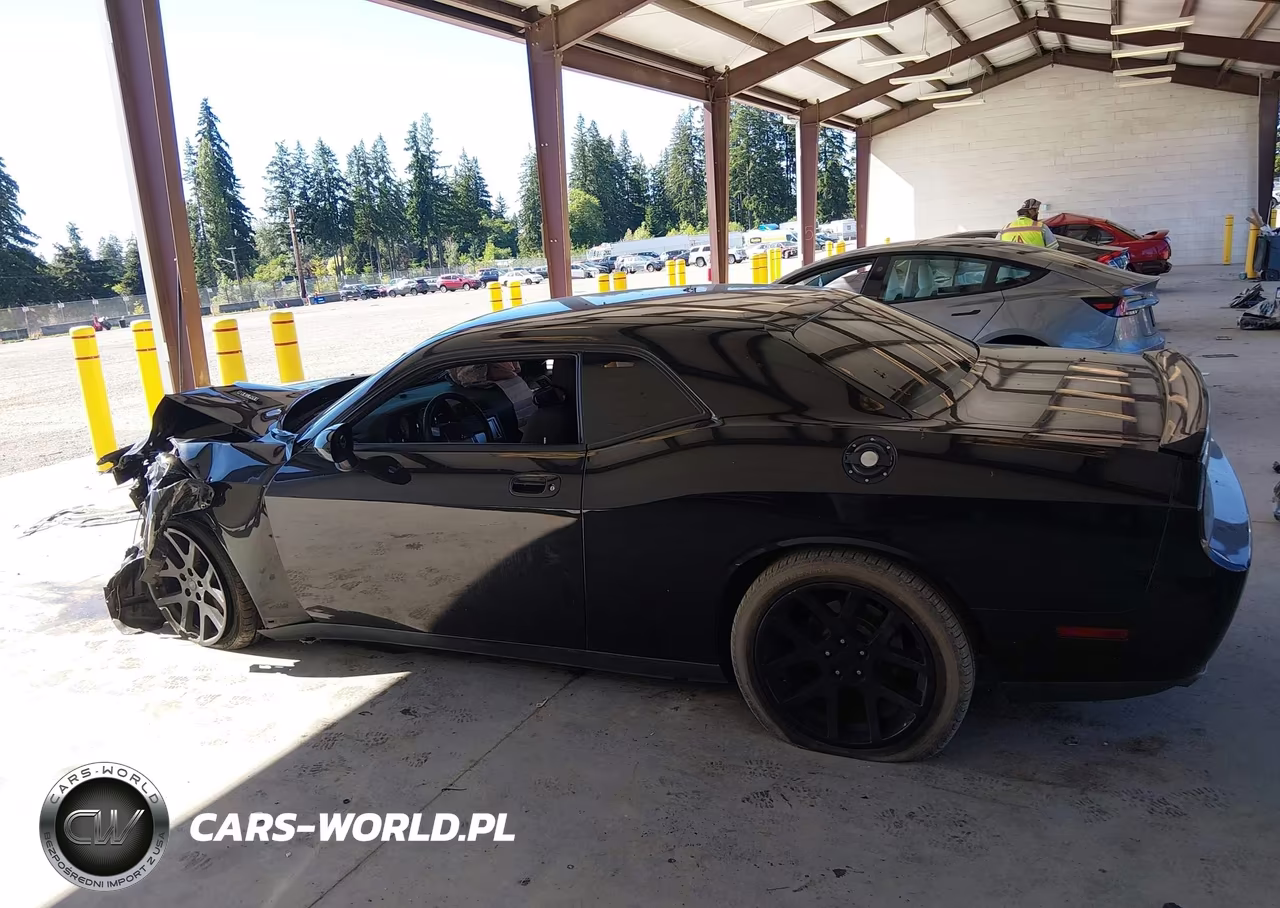 2010 Dodge Challenger R-T VIN:2B3CJ5DT4AH199497 - 14