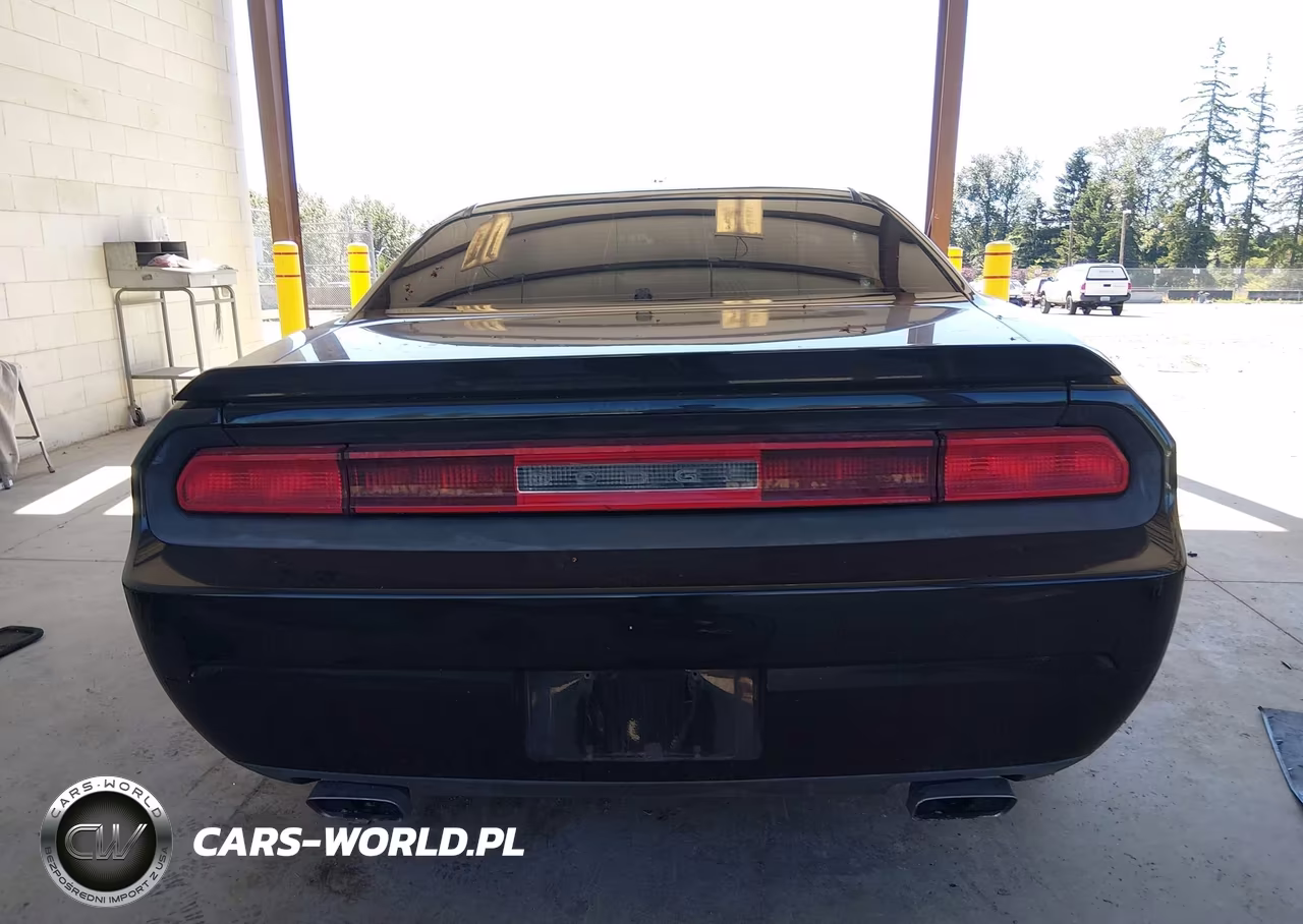 2010 Dodge Challenger R-T VIN:2B3CJ5DT4AH199497 - 16