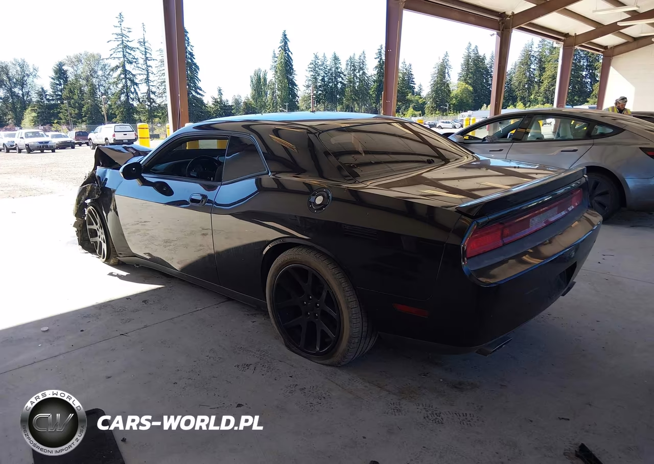2010 Dodge Challenger R-T VIN:2B3CJ5DT4AH199497 - 3