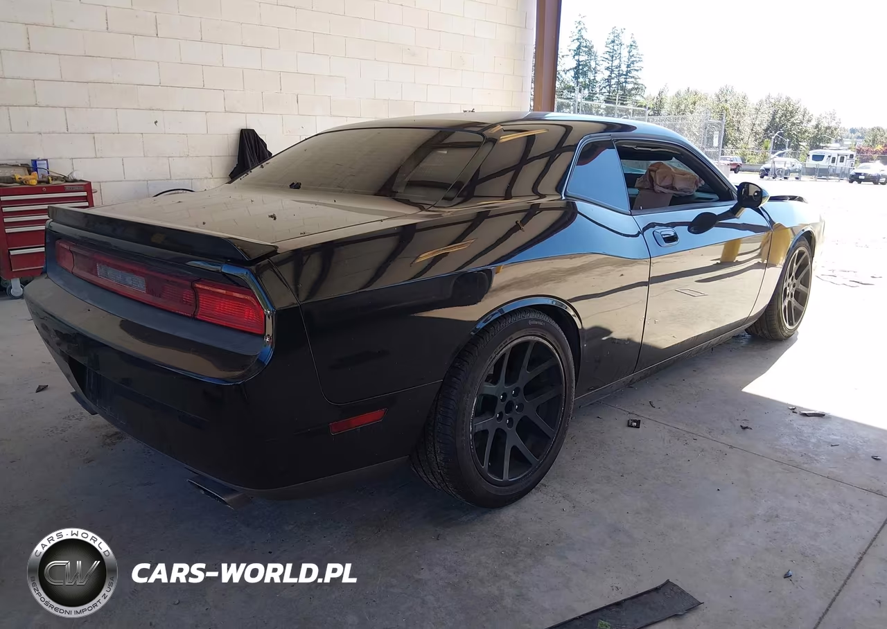 2010 Dodge Challenger R-T VIN:2B3CJ5DT4AH199497 - 4