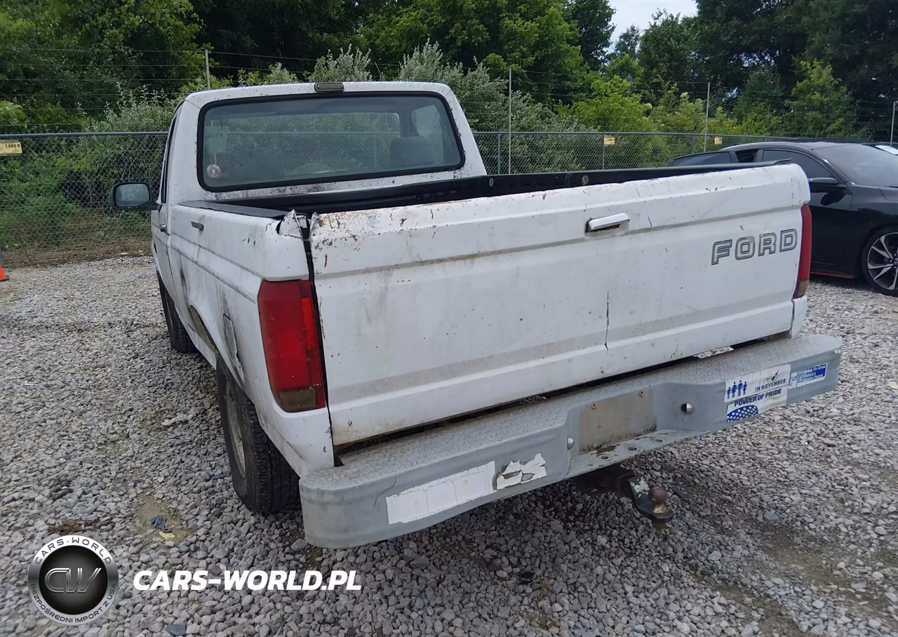 1993 Ford F150 VIN:1FTDF15Y1PNA84704 - 6
