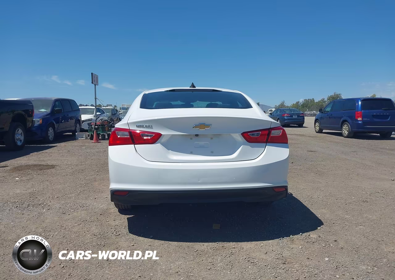 2020 Chevrolet Malibu Fwd 1Fl VIN:1G1ZC5ST5LF134516 - 17