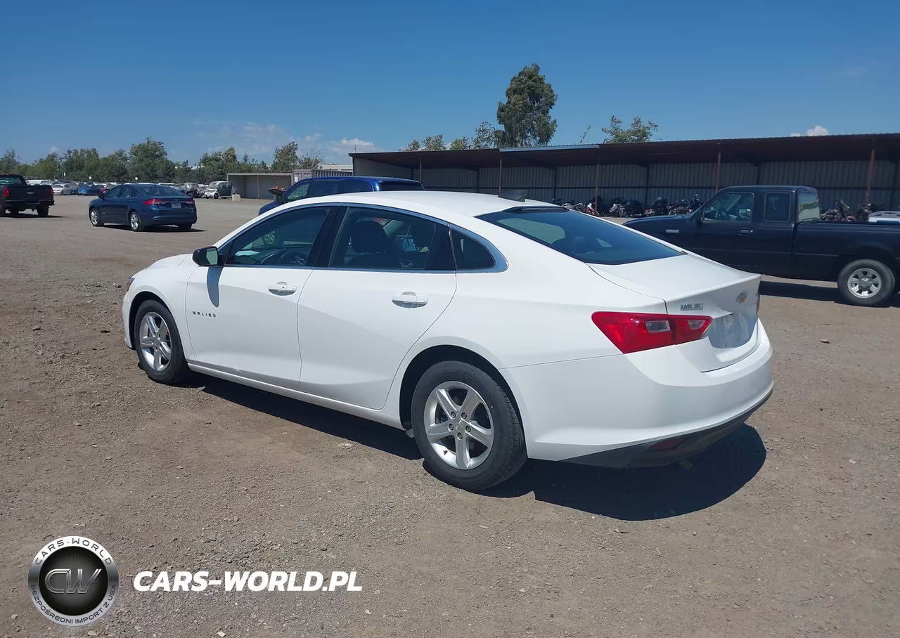 2020 Chevrolet Malibu Fwd 1Fl VIN:1G1ZC5ST5LF134516 - 3