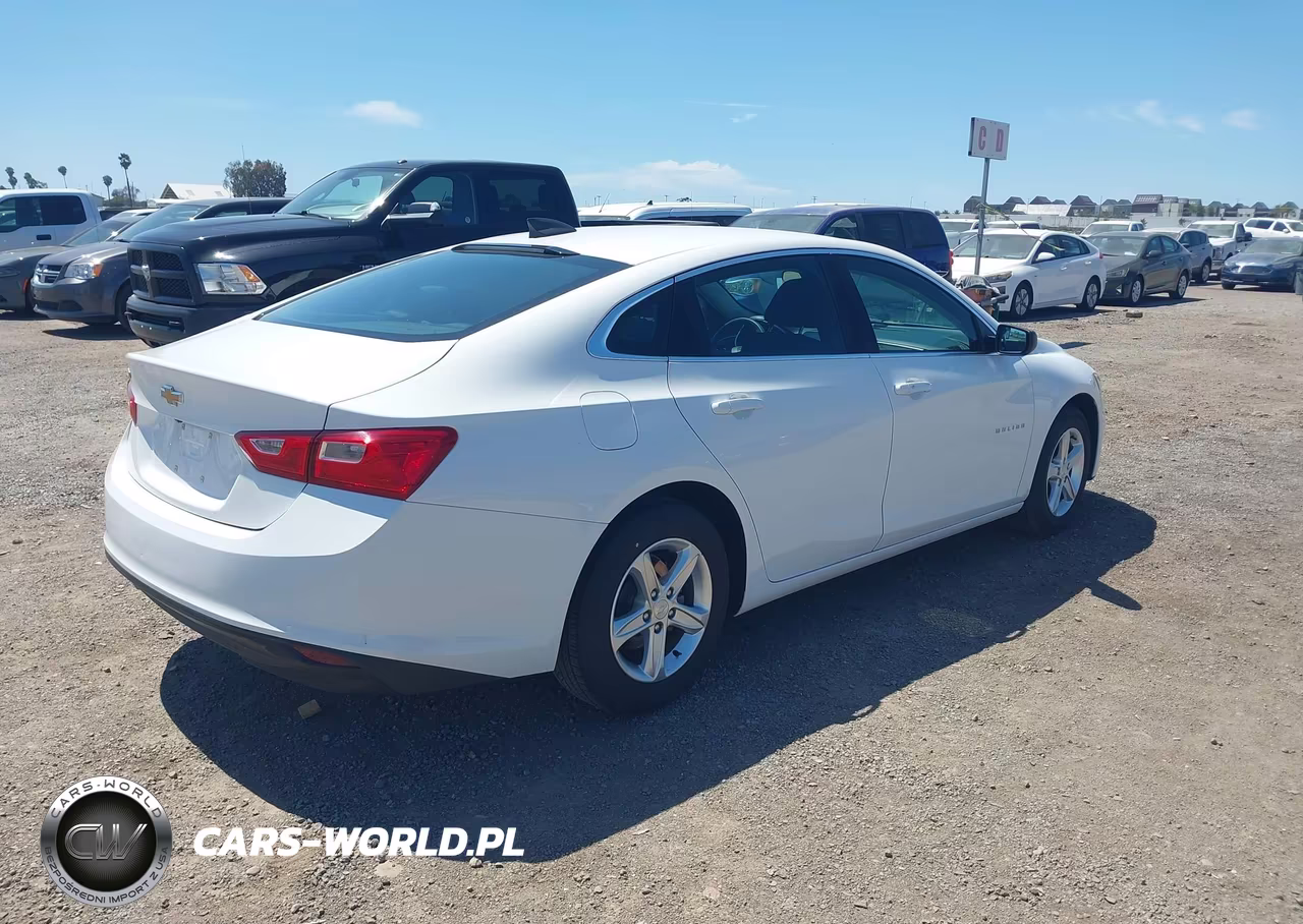 2020 Chevrolet Malibu Fwd 1Fl VIN:1G1ZC5ST5LF134516 - 4