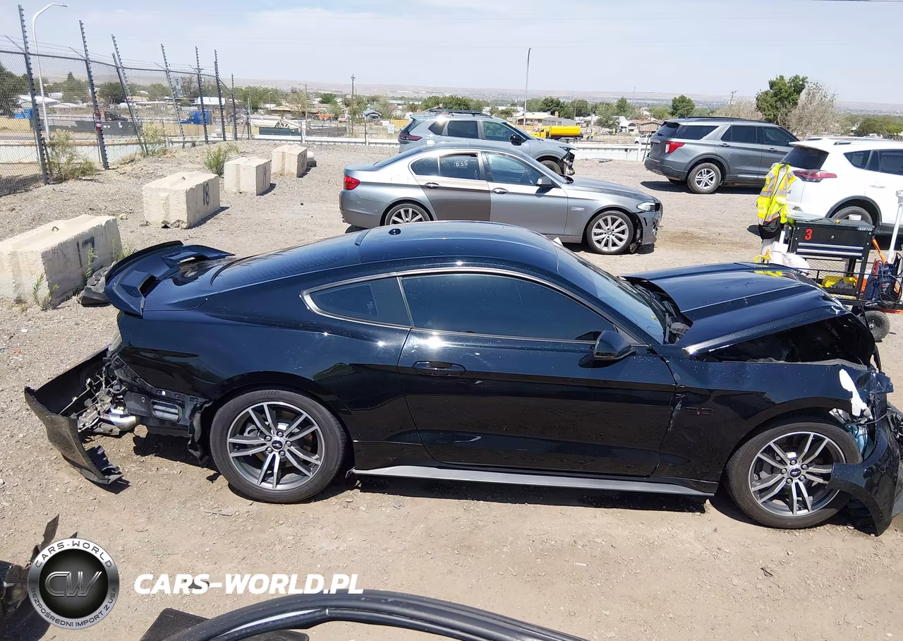 2017 Ford Mustang Gt Premium VIN:1FA6P8CFXH5344296 - 13