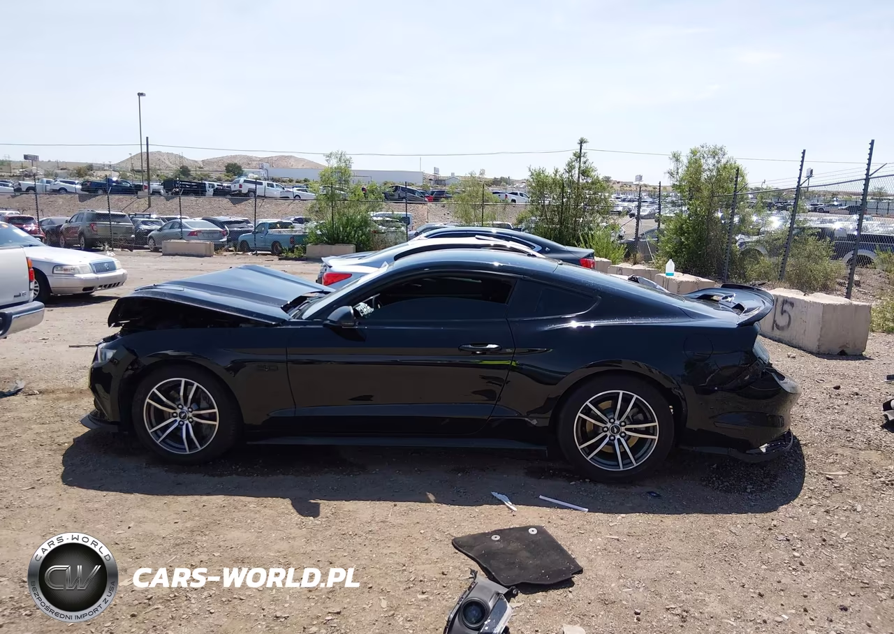 2017 Ford Mustang Gt Premium VIN:1FA6P8CFXH5344296 - 14