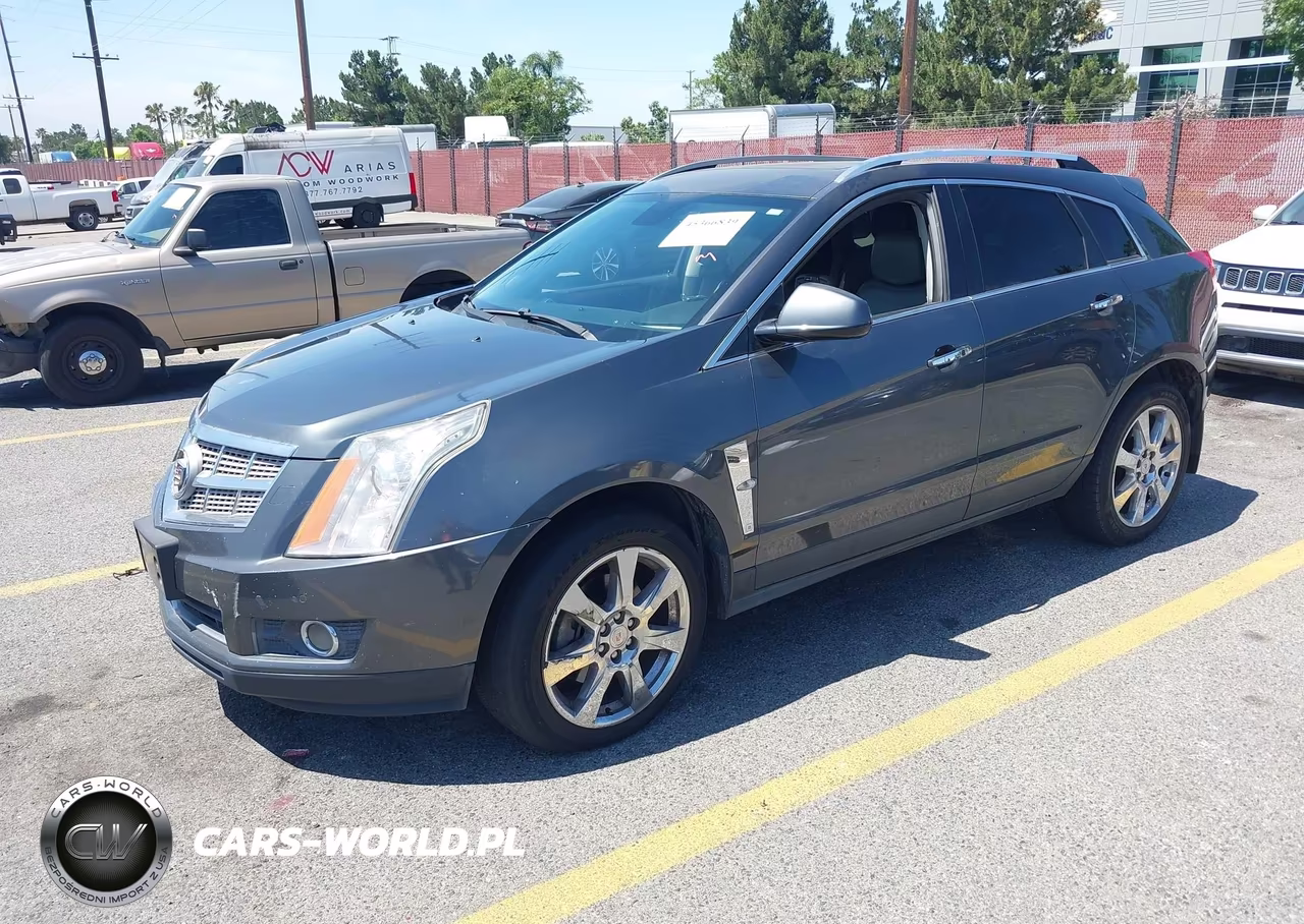 2010 Cadillac Srx Premium Collection VIN:3GYFNCEY6AS544597 - 2
