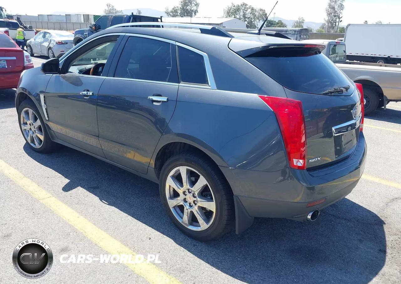 2010 Cadillac Srx Premium Collection VIN:3GYFNCEY6AS544597 - 3