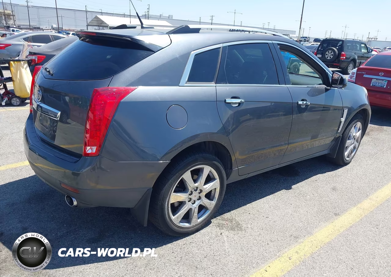 2010 Cadillac Srx Premium Collection VIN:3GYFNCEY6AS544597 - 4