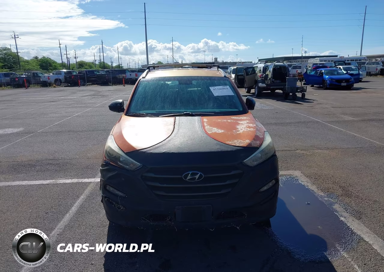 2016 Hyundai Tucson Sport VIN:KM8J33A2XGU143145 - 12