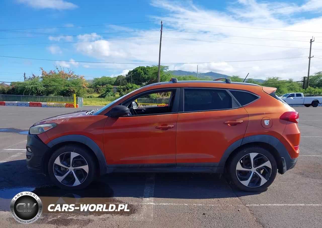 2016 Hyundai Tucson Sport VIN:KM8J33A2XGU143145 - 14