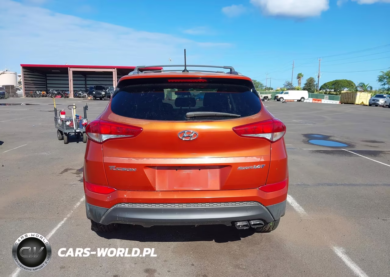 2016 Hyundai Tucson Sport VIN:KM8J33A2XGU143145 - 16