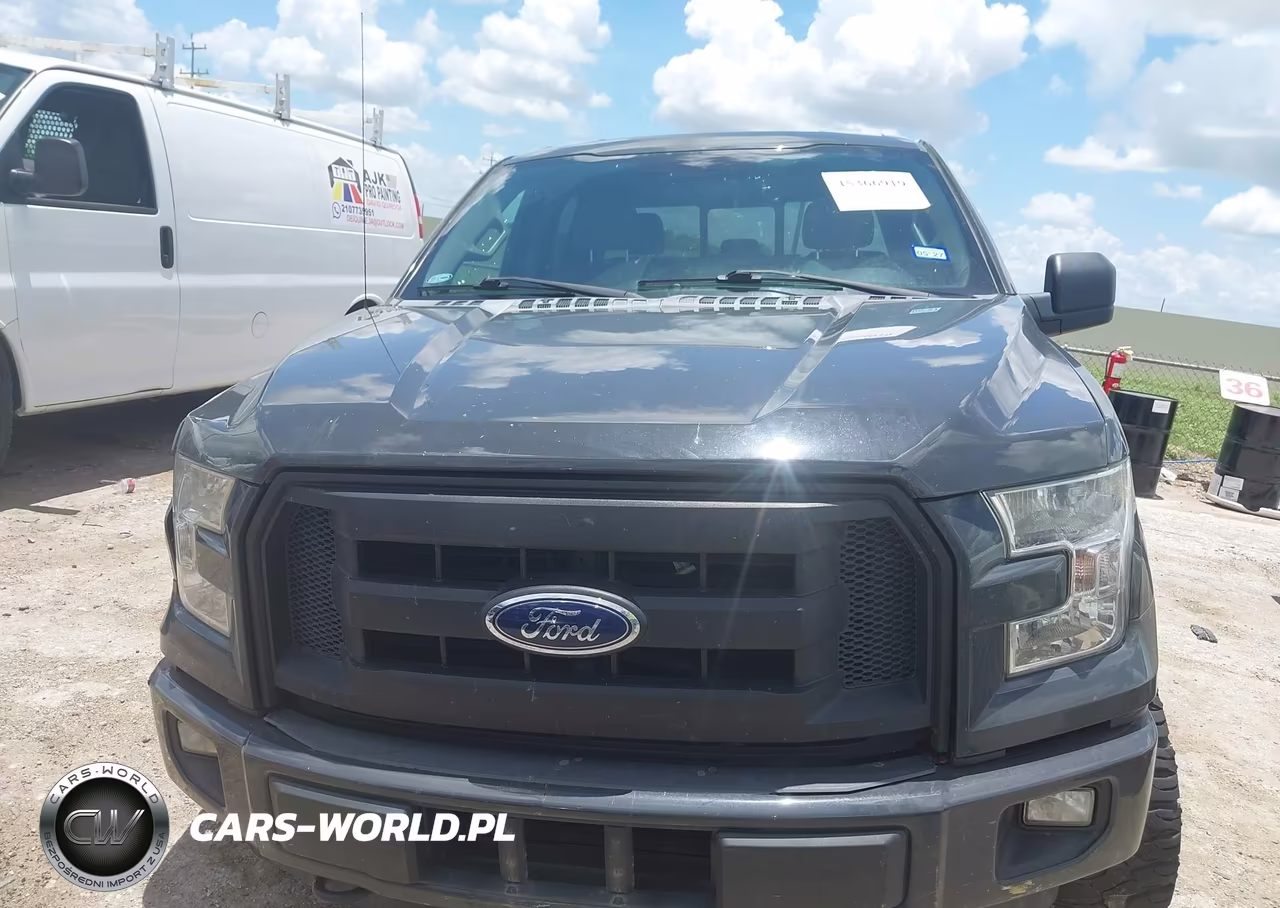2016 Ford F-150 Xl VIN:1FTEW1EP9GKE17681 - 13