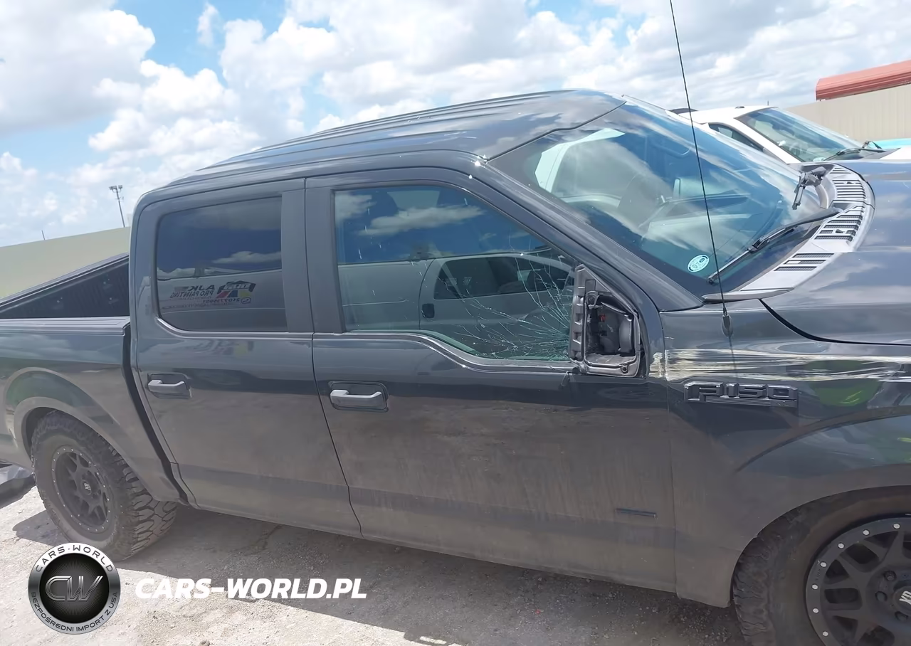 2016 Ford F-150 Xl VIN:1FTEW1EP9GKE17681 - 14