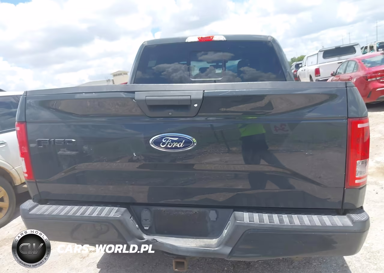 2016 Ford F-150 Xl VIN:1FTEW1EP9GKE17681 - 17