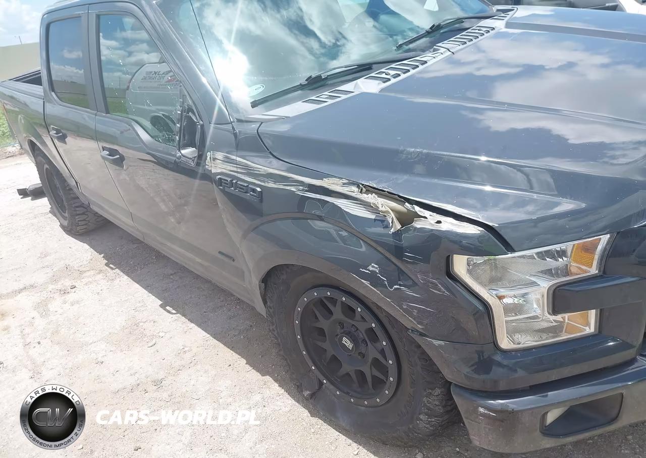 2016 Ford F-150 Xl VIN:1FTEW1EP9GKE17681 - 6