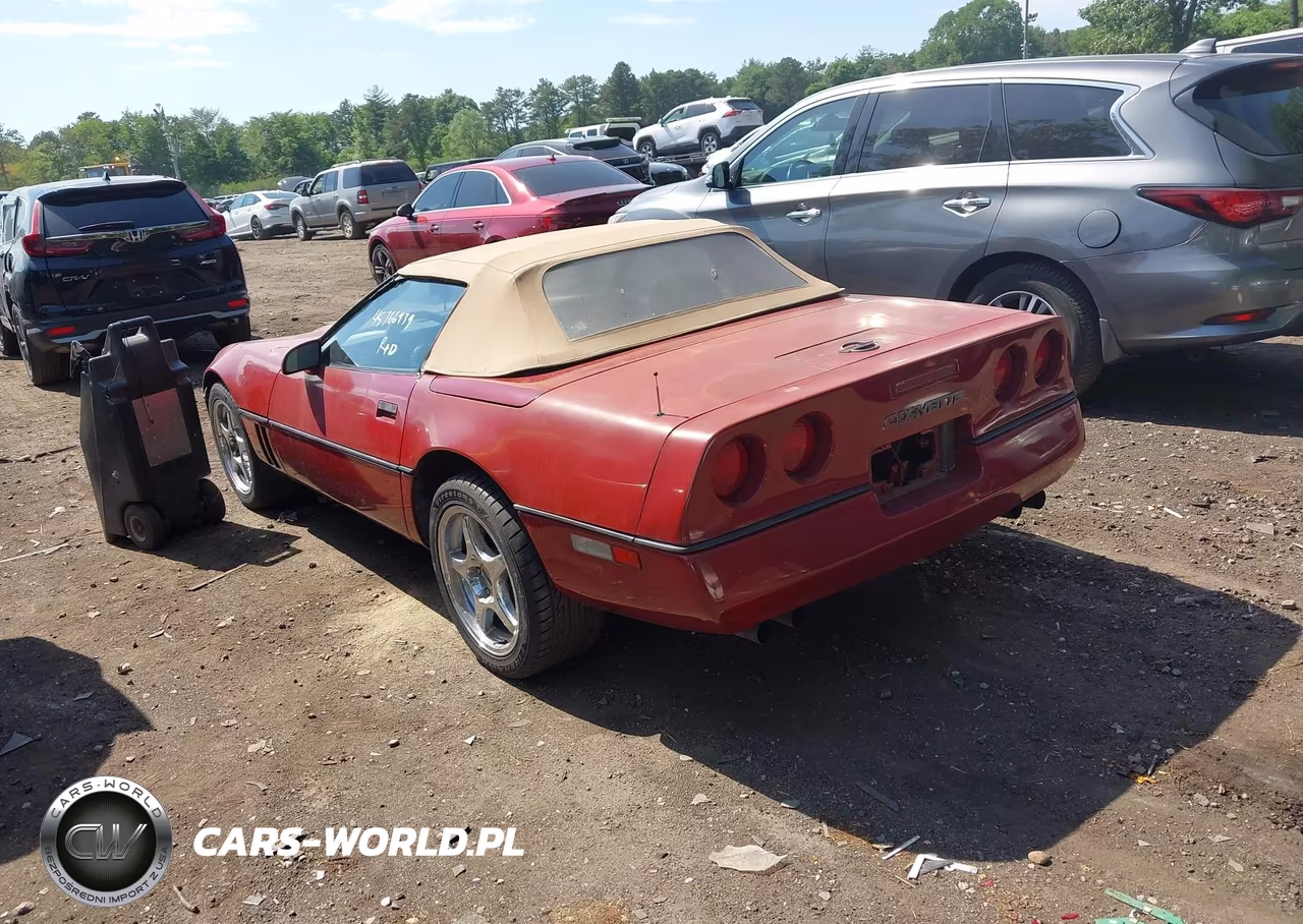 1989 Chevrolet Corvette VIN:1G1YY3183K5103834 - 3