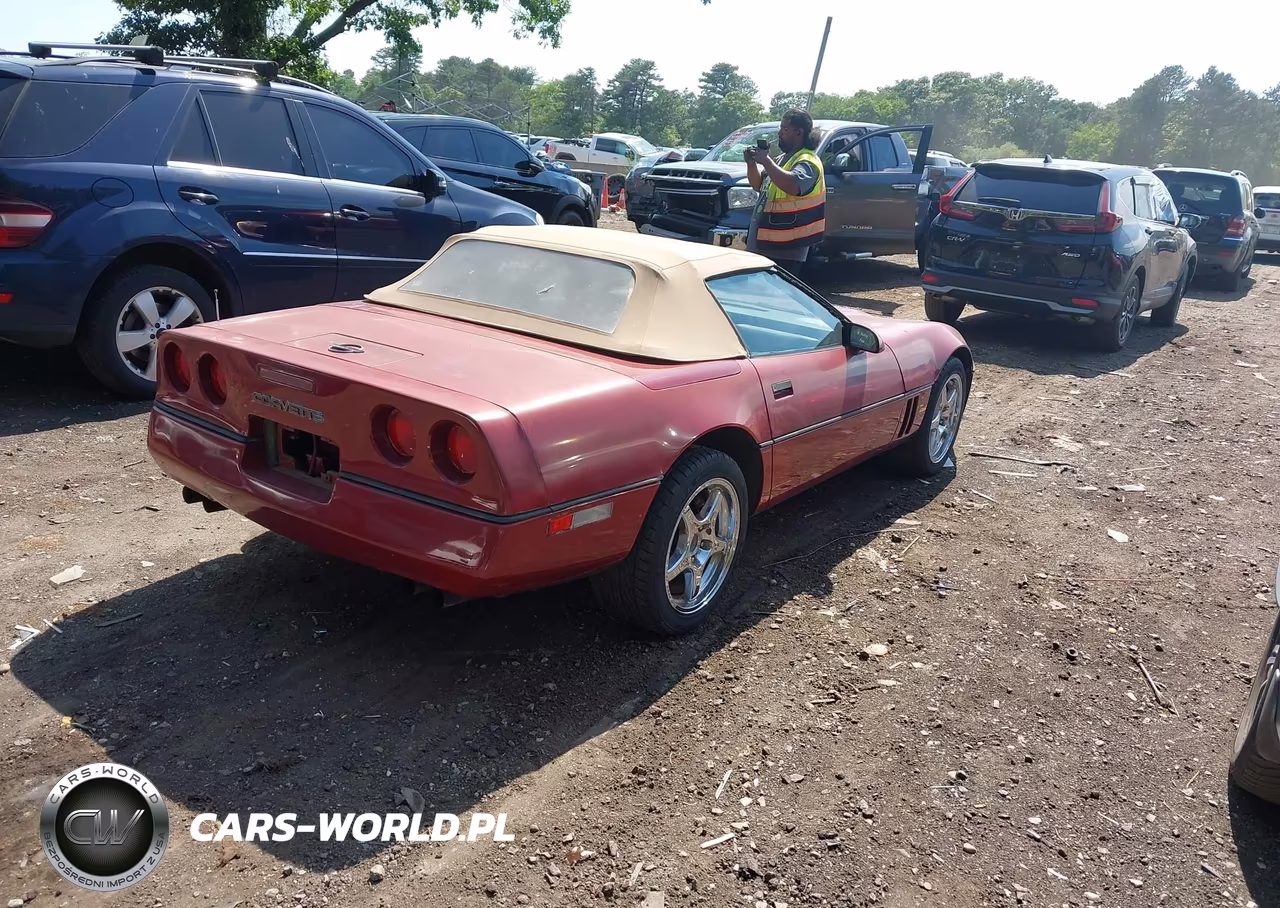 1989 Chevrolet Corvette VIN:1G1YY3183K5103834 - 4