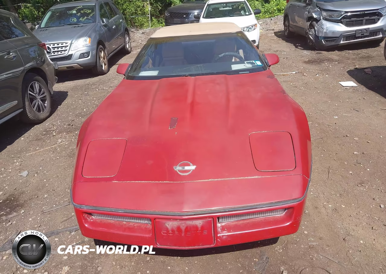 1989 Chevrolet Corvette VIN:1G1YY3183K5103834 - 6