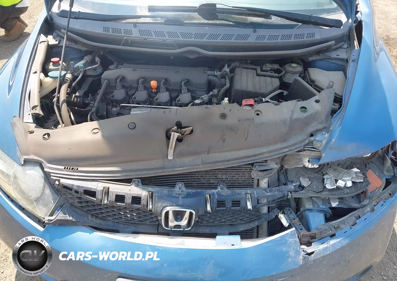 2010 Honda Civic Lx VIN:19XFA1F50AE018037 - 10