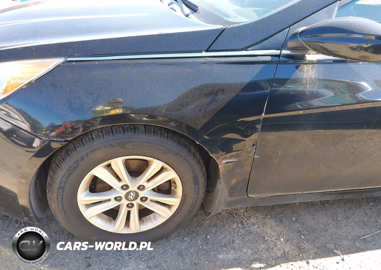 2011 Hyundai Sonata Gls VIN:5NPEB4AC5BH165810 - 12