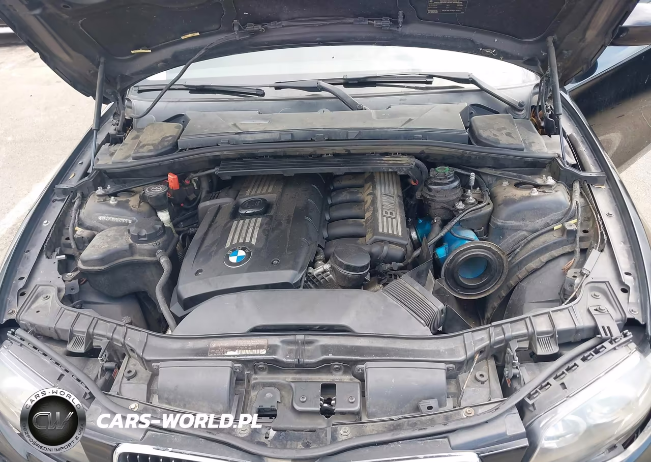 2009 BMW 128I VIN:WBAUP73519VK75757 - 10