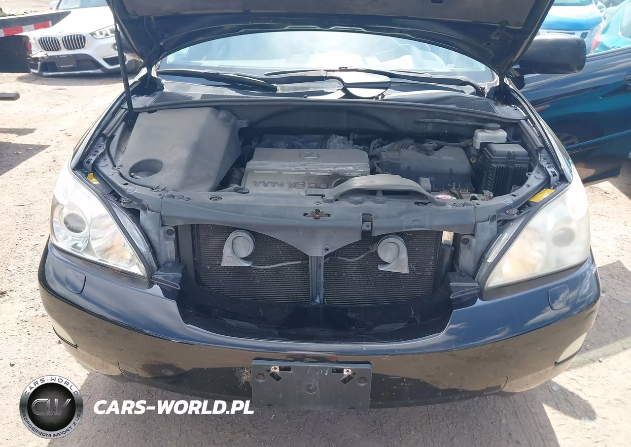 2004 Lexus Rx 330 VIN:2T2HA31U54C035000 - 10