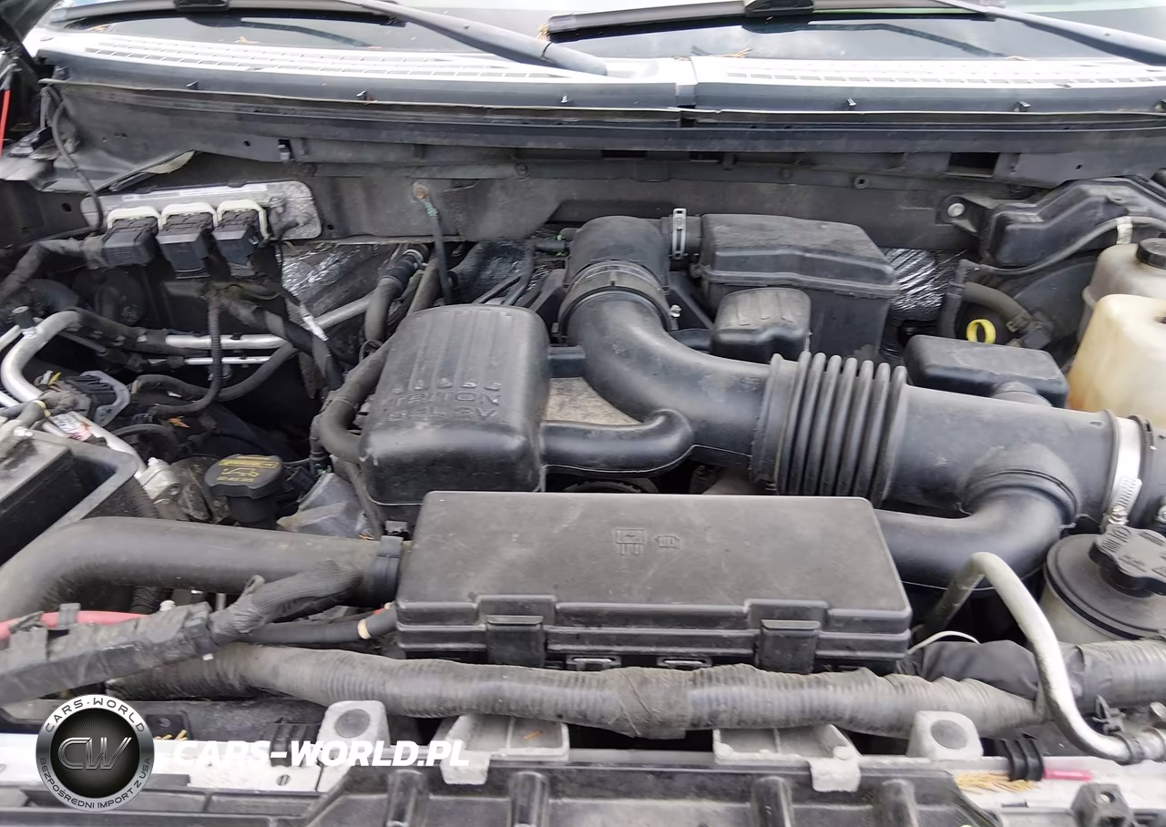 2010 Ford F-150 Fx4-Lariat-Xl-Xlt VIN:1FTFX1EV0AFD49061 - 10