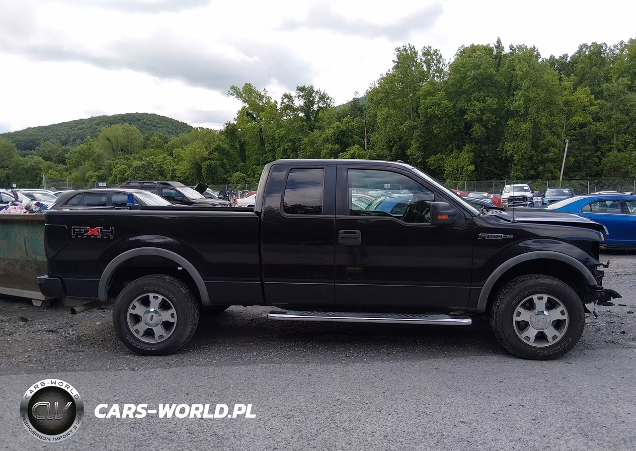 2010 Ford F-150 Fx4-Lariat-Xl-Xlt VIN:1FTFX1EV0AFD49061 - 13