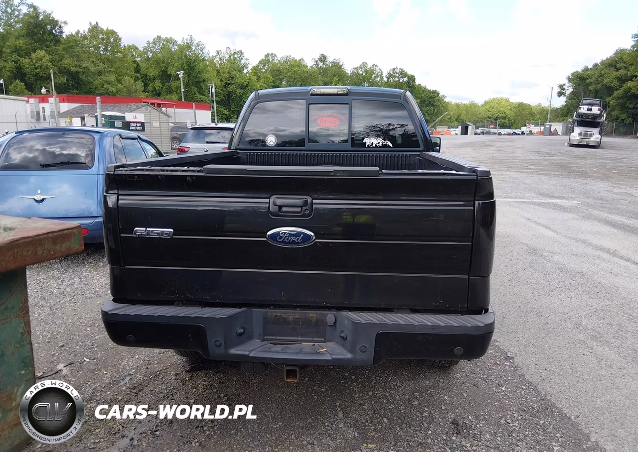 2010 Ford F-150 Fx4-Lariat-Xl-Xlt VIN:1FTFX1EV0AFD49061 - 16